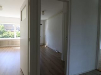 gallery/westvest110-1